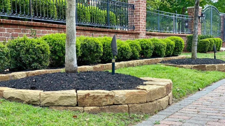 Longoria Landscaping